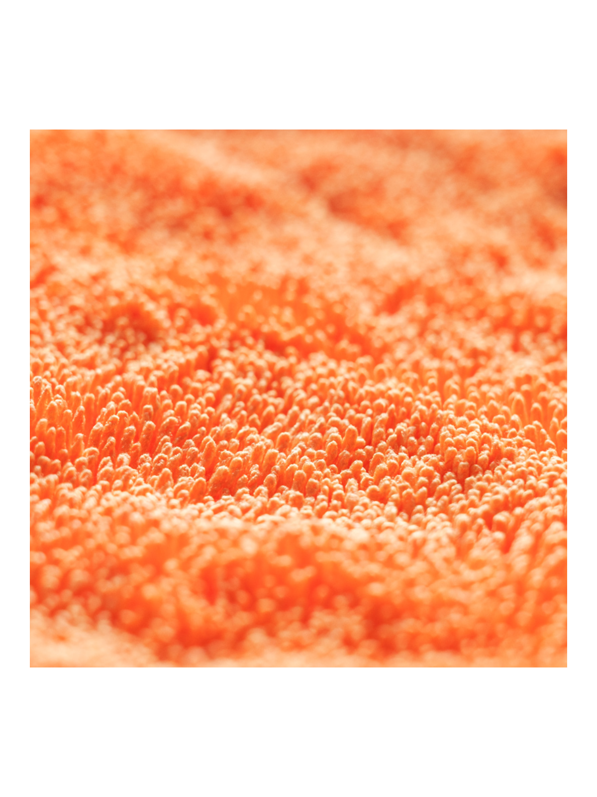 DHYDRATE BOLD 90x70cm