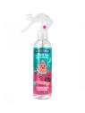 SPRAY PARFUM PASTEQUE 250ml